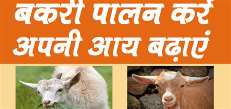 goat farming in hindi pdf